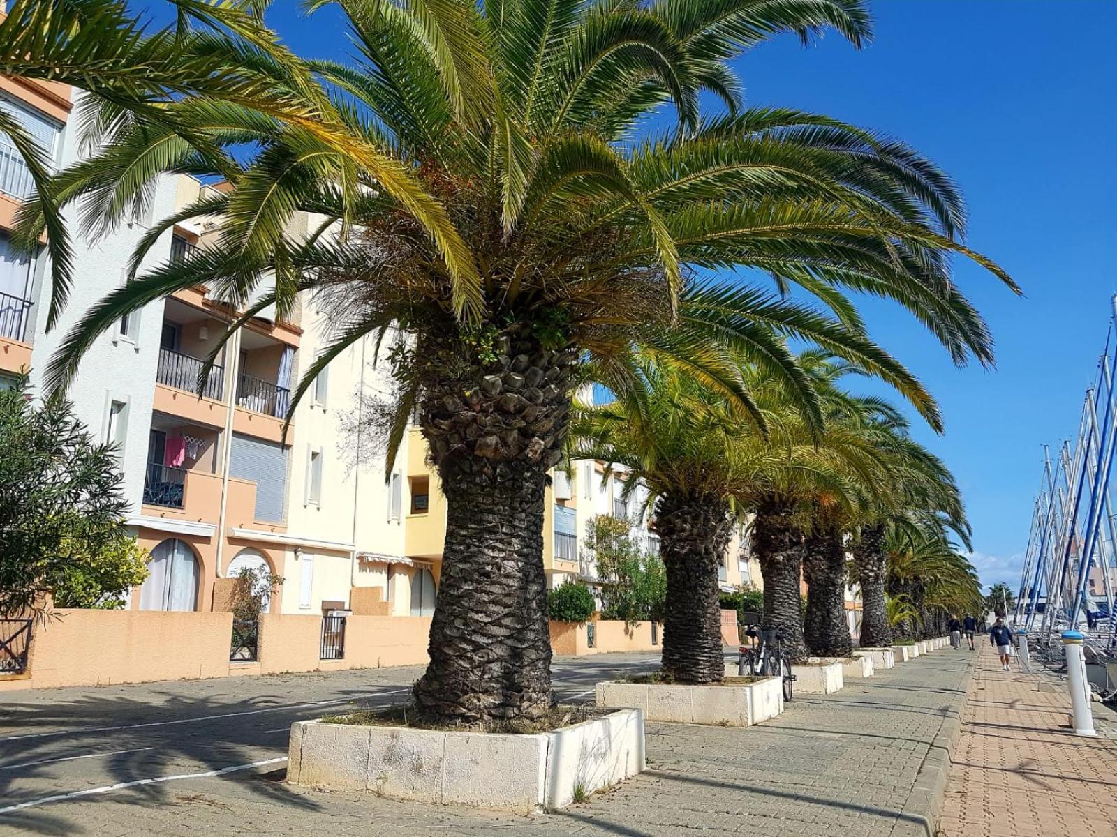 Apartmán T2 Sur Le Port Avec Parking Gruissan Exteriér fotografie